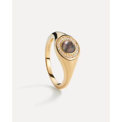 Γυναικείο Δαχτυλίδι AleyOle Crystal Gold Signet Επιχρυσωμένο Ασήμι 925 Ζιργκόν RG4480