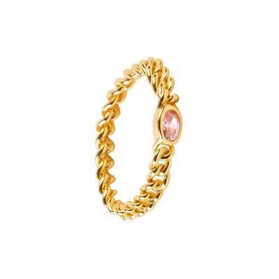 Γυναικείο Δαχτυλίδι AleyOle Pink Merilyn Gold Επιχρυσωμένο Ασήμι 925 Ζιργκόν RG4061