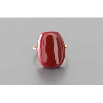 Woman's Ring DaphneP Blots Scarab Brass Red Enamel 007-red