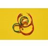 Γυναικεία Σκουλαρίκια Katerina Makriyianni Kyma Hoops Red 24K Επιχρυσωμένος Μπρούτζος και Ασήμι Κόκκινο Μετάξι K23.E3.B.R