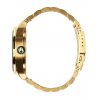 Unisex Watch ΝΙΧΟΝ Sentry Gold / Green Sunray Stainless Steel A356-1919-00