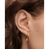 Γυναικεία Σκουλαρίκια PdPaola Essentials Delta Hoops Επιχρυσωμένος Ασήμι Ζιργκόν AR01-C26-U